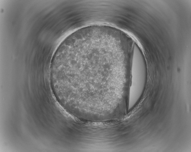 X0000085770903200704131800