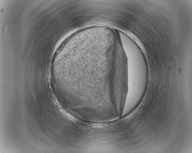 X0000085770904200704131800