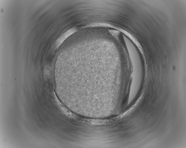 X0000085770905200704131800