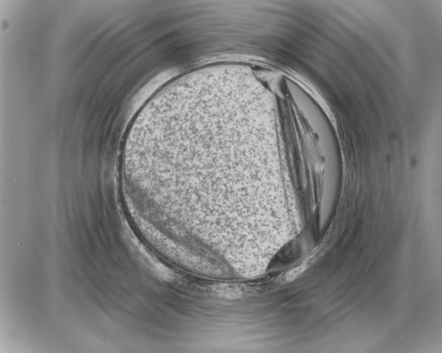 X0000085770906200704131800