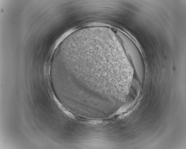 X0000085770909200704131800