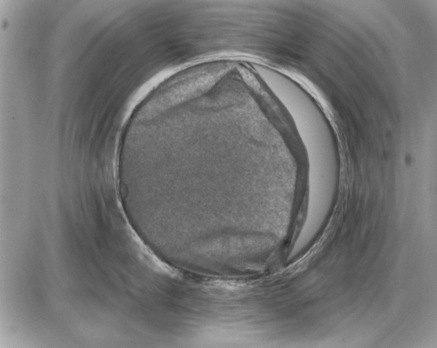 X0000085770910200704131800