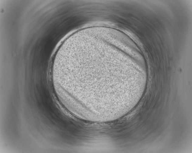 X0000085770912200704131800