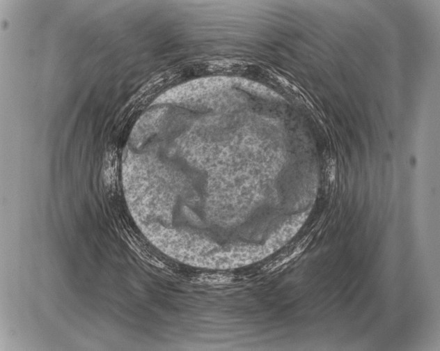 X0000085770914200704131759