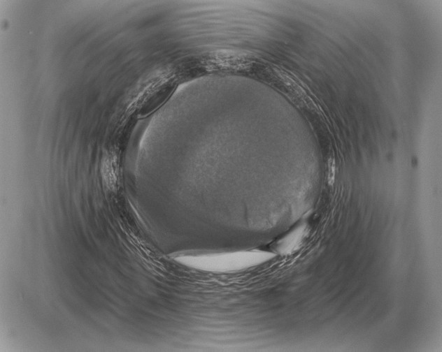 X0000085770915200704131759