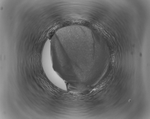 X0000085770916200704131759