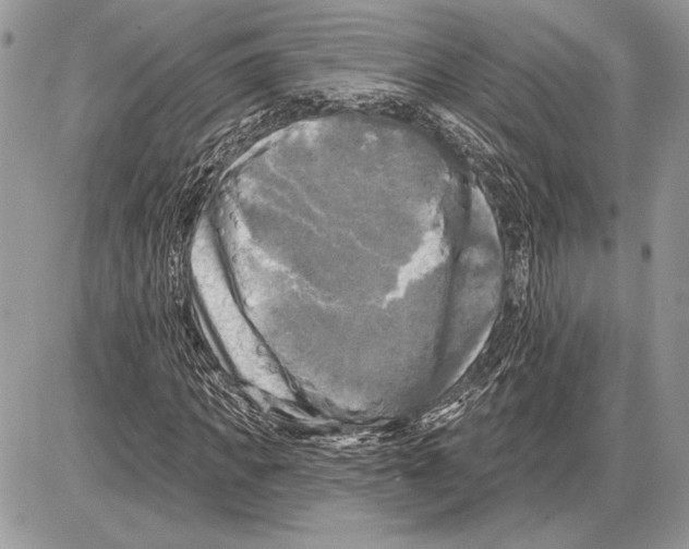 X0000085770917200704131759