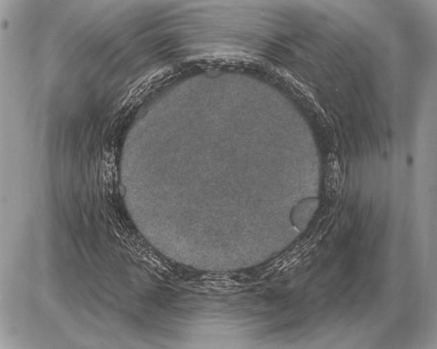 X0000085770918200704131759