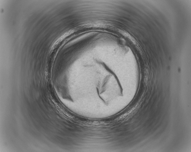 X0000085770922200704131759