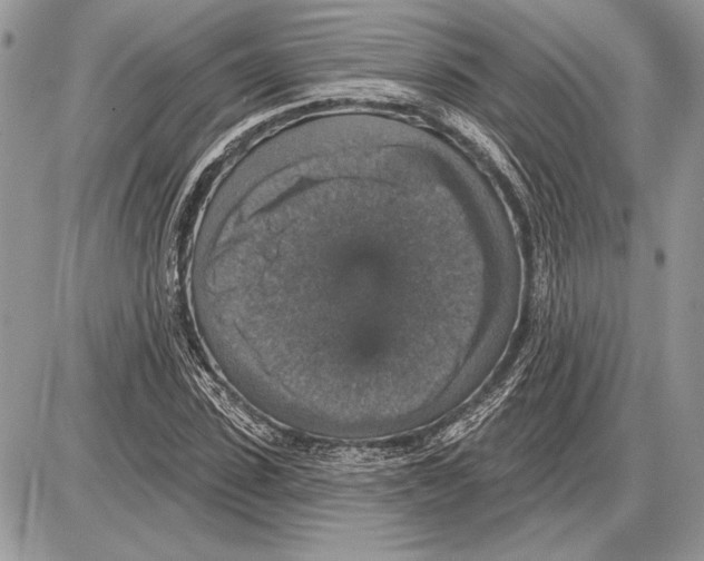 X0000085770923200704131759