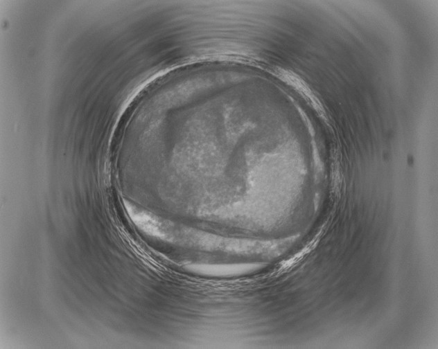 X0000085770924200704131759