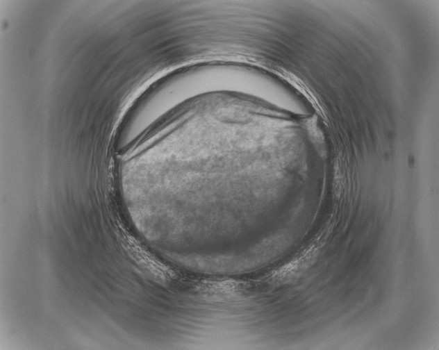 X0000085770926200704131759