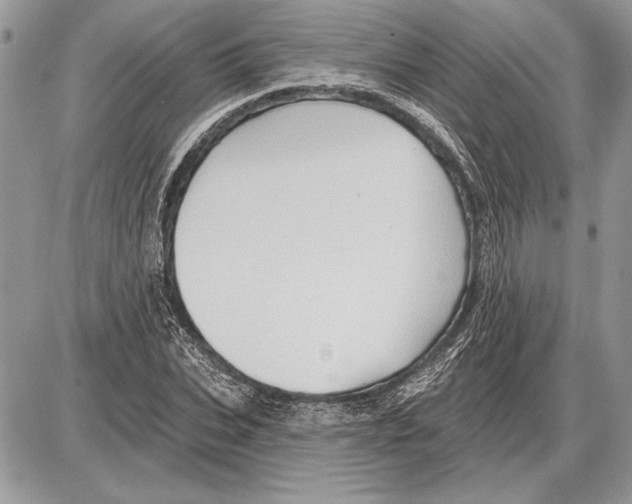 X0000085770927200704131759