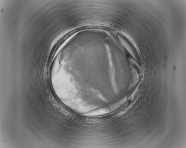 X0000085770928200704131759