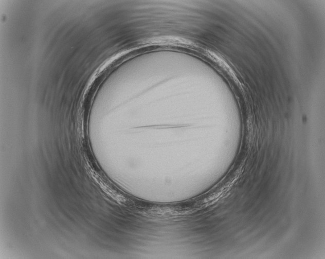 X0000085770931200704131800