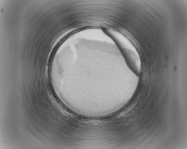 X0000085770932200704131800