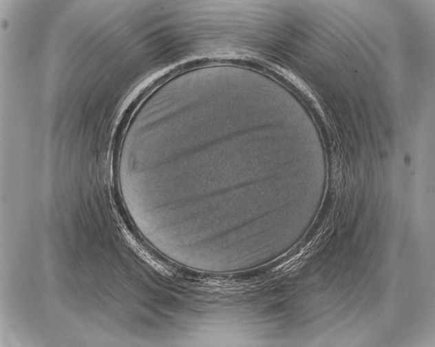 X0000085770935200704131800