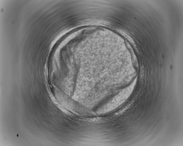 X0000085770936200704131800