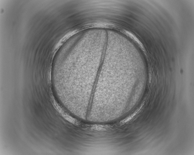 X0000085770938200704131800