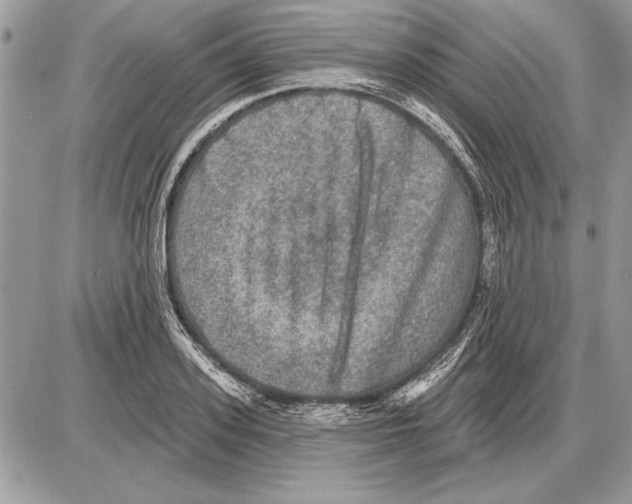 X0000085770939200704131800