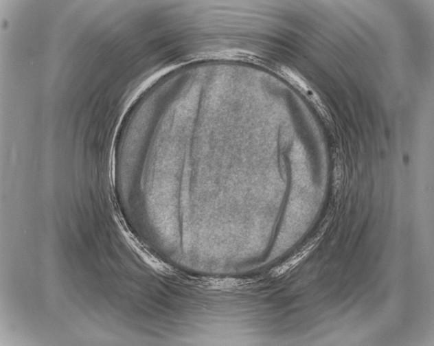 X0000085770940200704131800