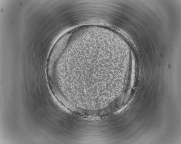 X0000085770942200704131800