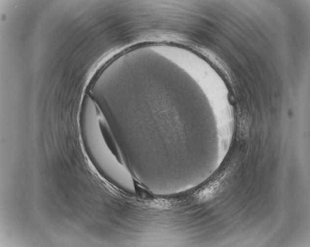 X0000085770943200704131800