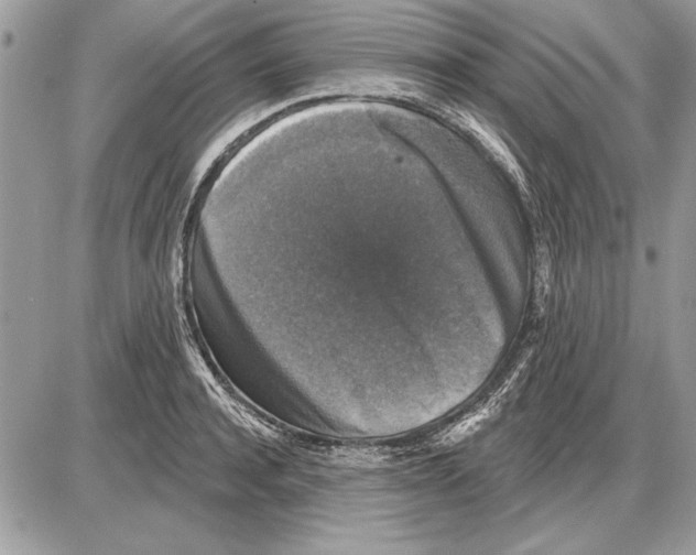 X0000085770944200704131800