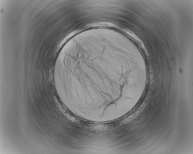 X0000085770945200704131800