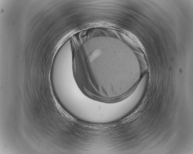 X0000085770946200704131800