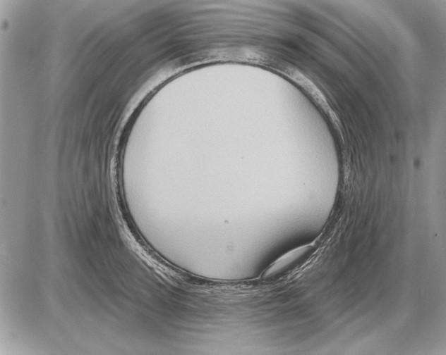 X0000085770947200704131800