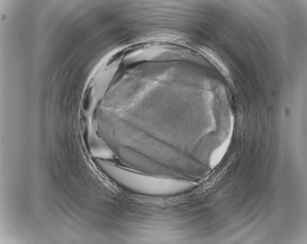 X0000085770948200704131800