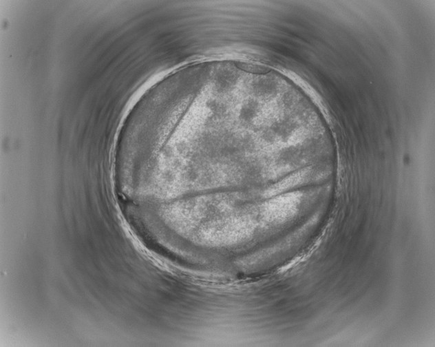 X0000085770949200704131800