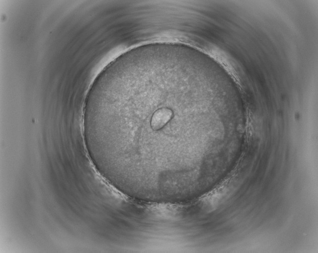 X0000085770950200704131800