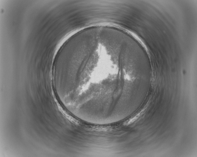 X0000085770951200704131800