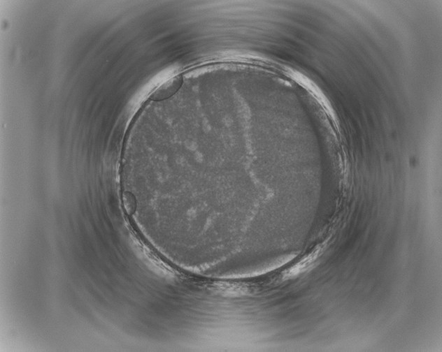 X0000085770954200704131800