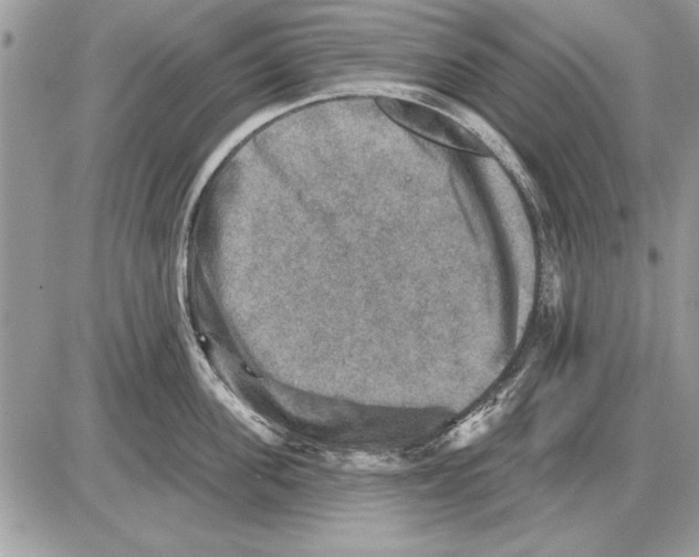 X0000085770955200704131800