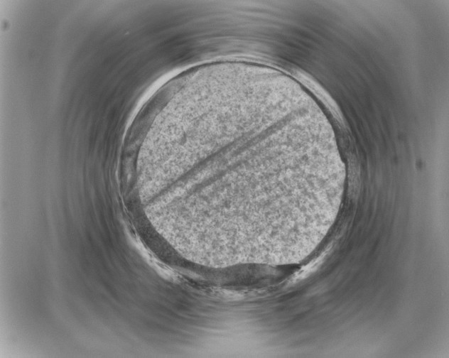 X0000085770956200704131800