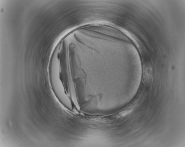 X0000085770959200704131800