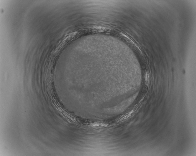 X0000085770961200704131759