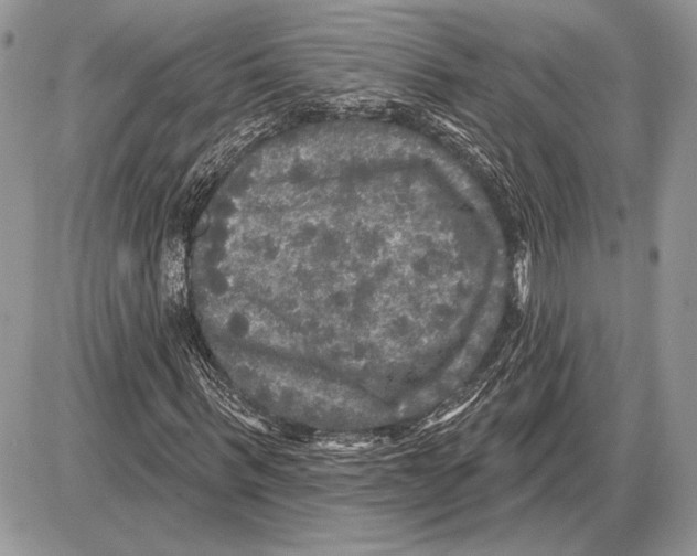 X0000085770963200704131759