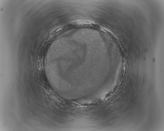 X0000085770965200704131759