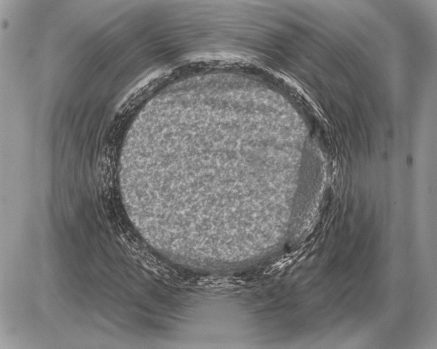 X0000085770967200704131759