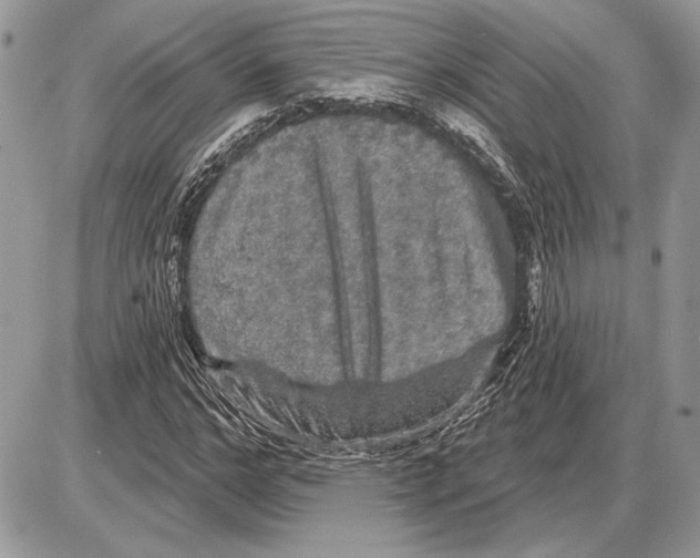 X0000085770968200704131759