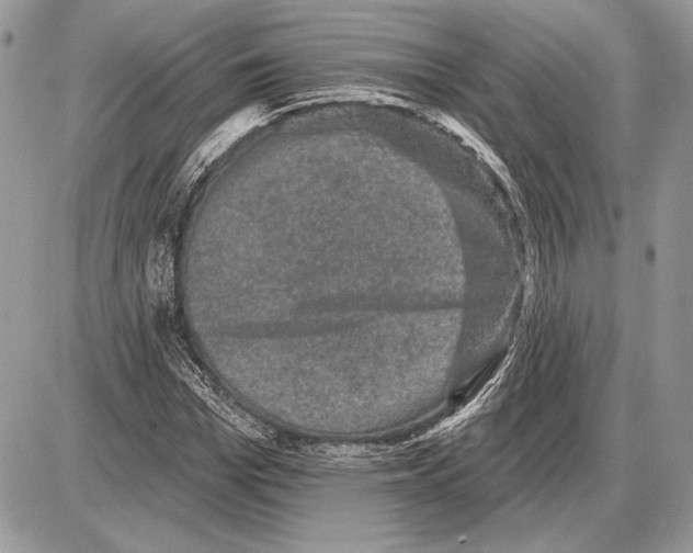 X0000085770969200704131759