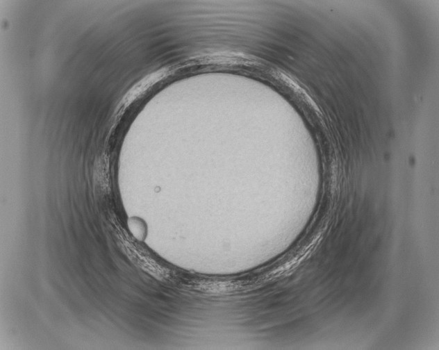 X0000085770970200704131759