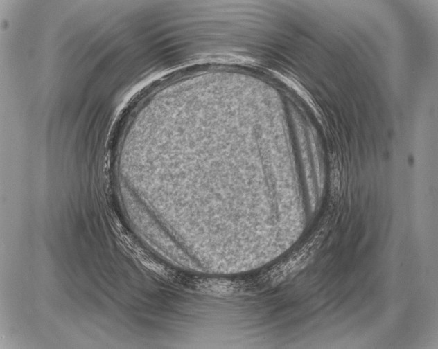 X0000085770971200704131759