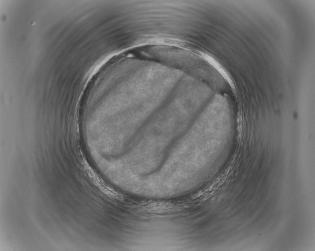 X0000085770972200704131759