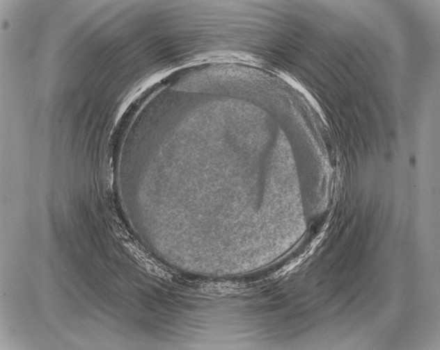 X0000085770973200704131759