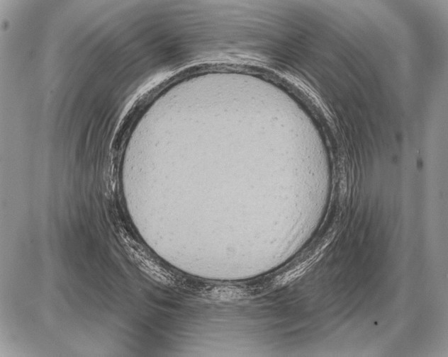 X0000085770974200704131759